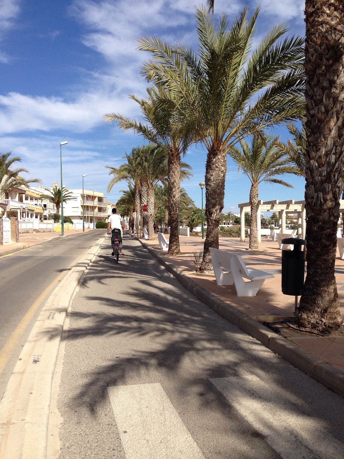 Palm-lined bike lane along the seafront of Pilar de la Horadada