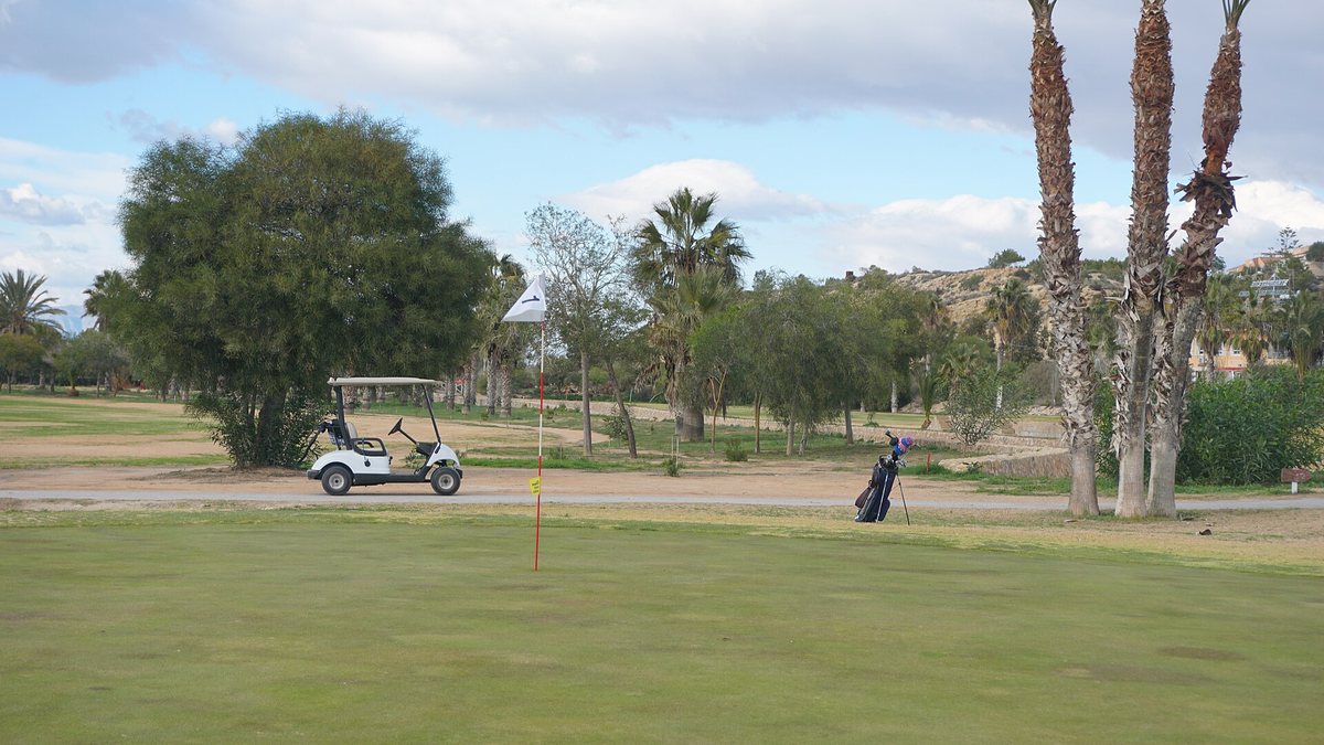 Fairway with palm trees and a golf buggy at La Marquesa golf course (Rojales)