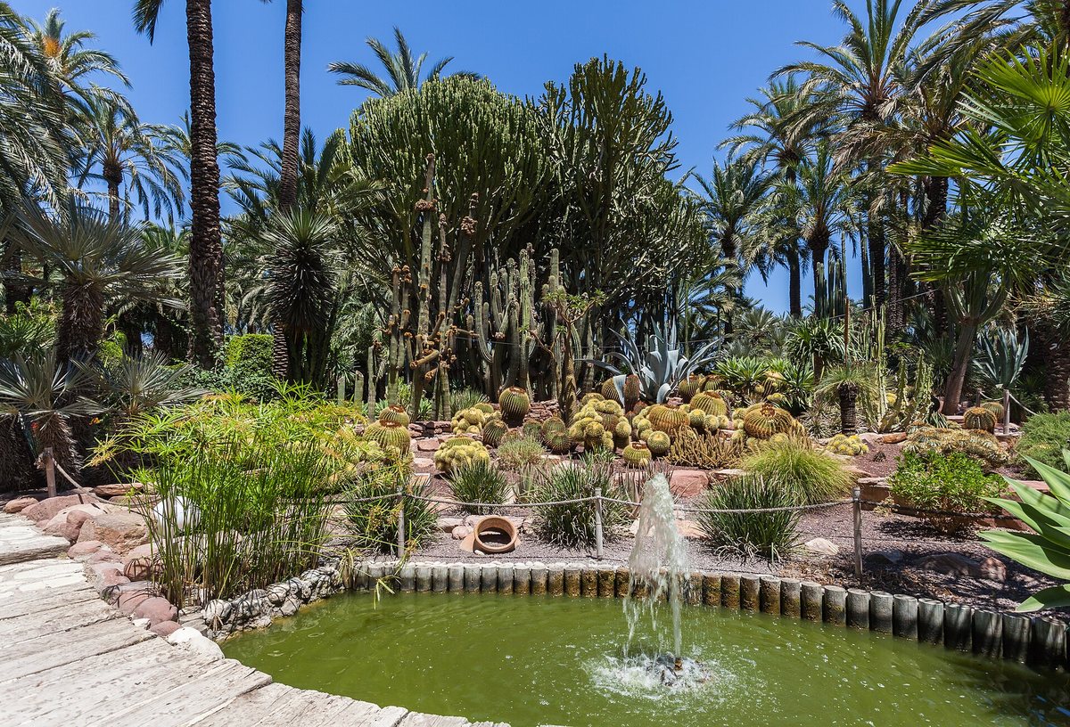 The Huerto del Cura palm and cactus garden in Elche