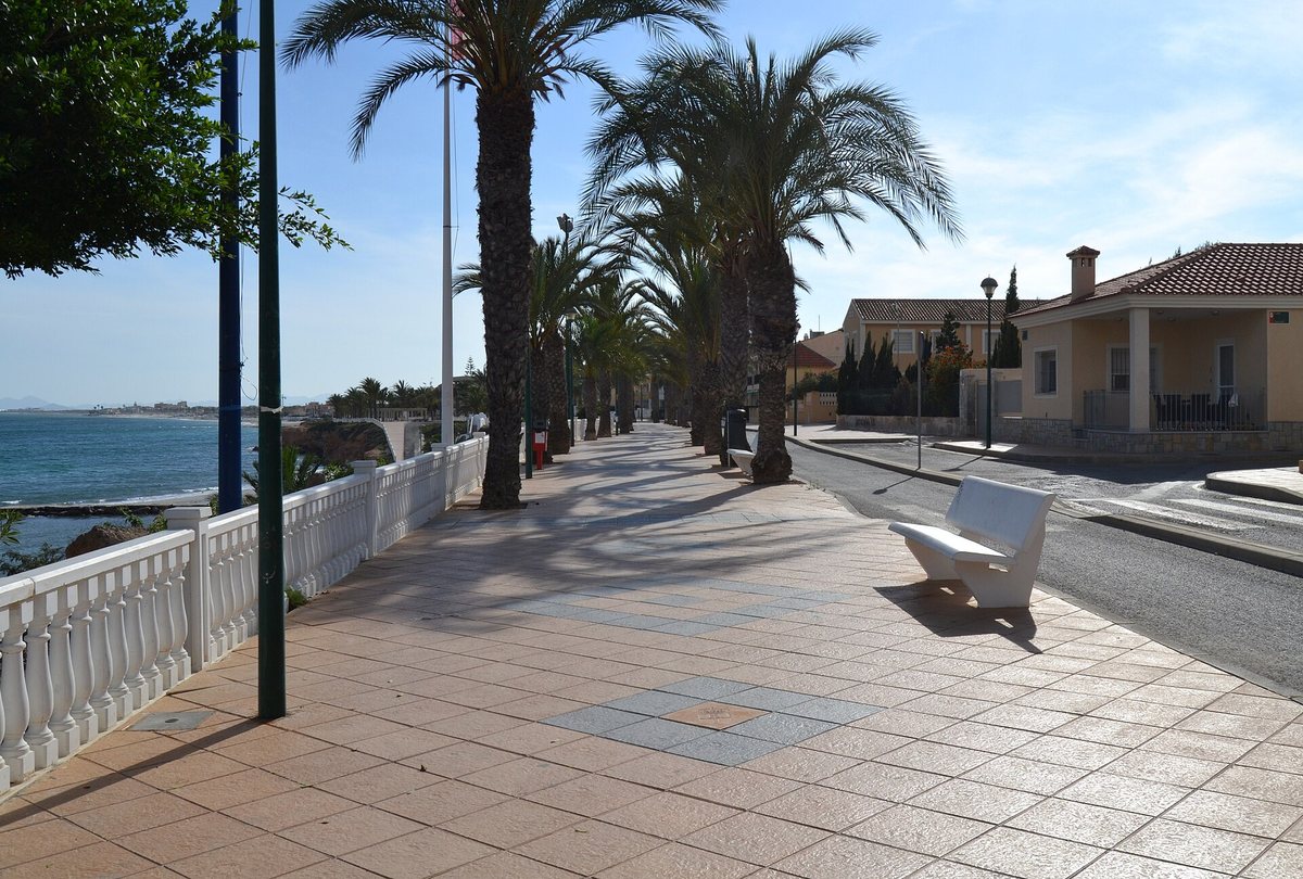 Palm-lined seafront promenade with a white balustrade in Torre de la Horadada